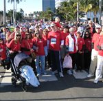 Steinger, Greene & Feiner Walks the Race for the Cure – 50 Strong!