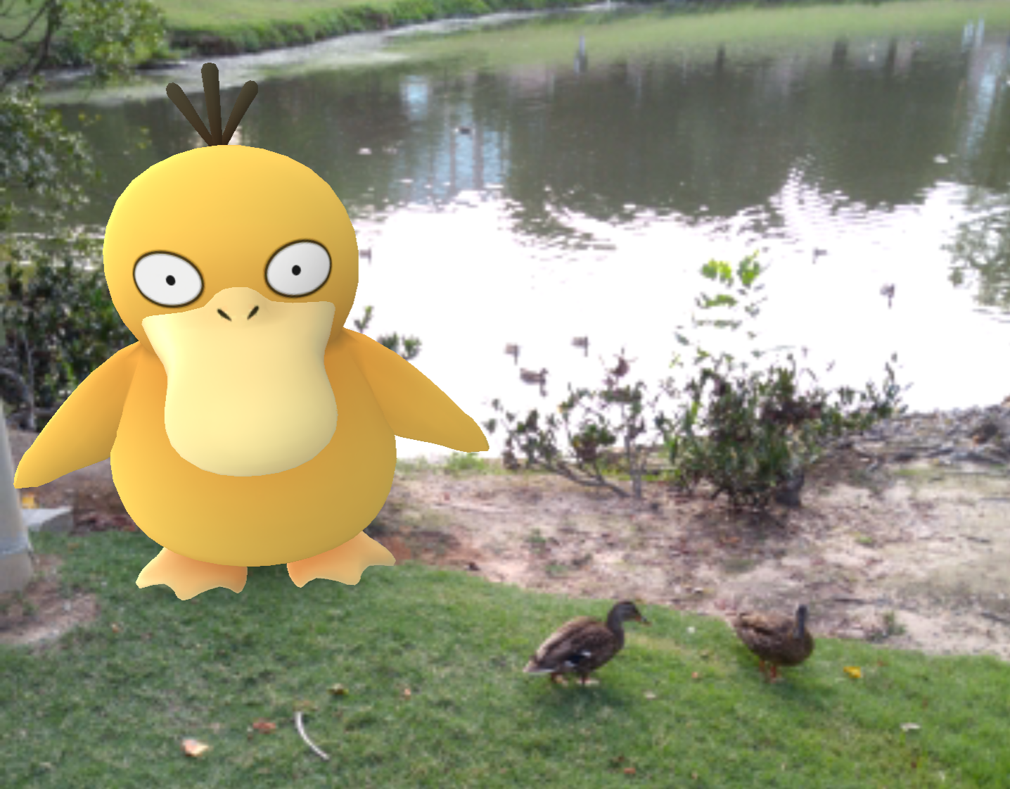 Pokemon Go West Palm Beach Pokemon Go West Palm Beach