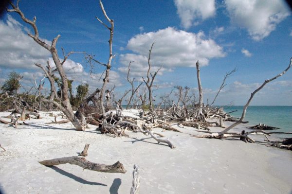 Sanibel Island State Park Sanibel Island State Park