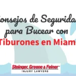 Consejos de Seguridad para Bucear con Tiburones en Miami