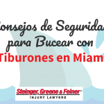 Consejos de Seguridad para Bucear con Tiburones en Miami