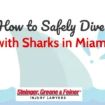 How to Safely Dive with Sharks in Miami
