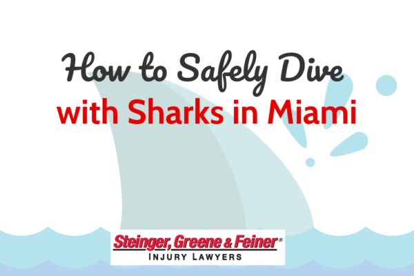 How to Safely Dive with Sharks in Miami