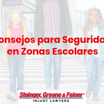 Consejos para Seguridad en Zonas Escolares