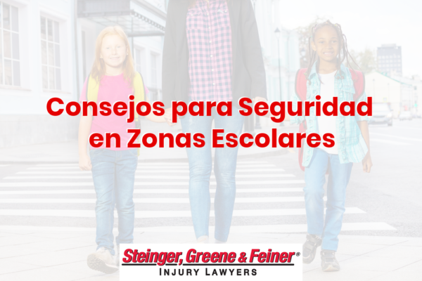 Consejos para Seguridad en Zonas Escolares