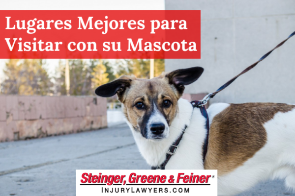 lugares mejores para visitar con su mascota