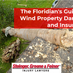 The Floridian’s Guide to Wind Property Damage and Insurance