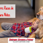 Las-Mejores-Razas-de-Perros-para-Niños-768x512