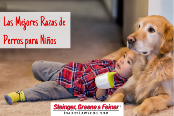 Las-Mejores-Razas-de-Perros-para-Niños-768x512