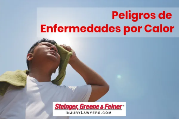 Peligros-de-Enfermedades-por-Calor-768x512