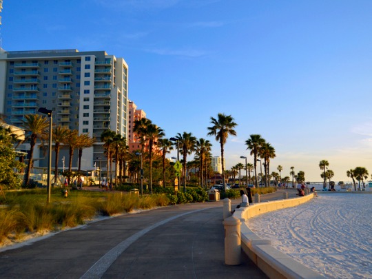 view of the beach in clearwater florida