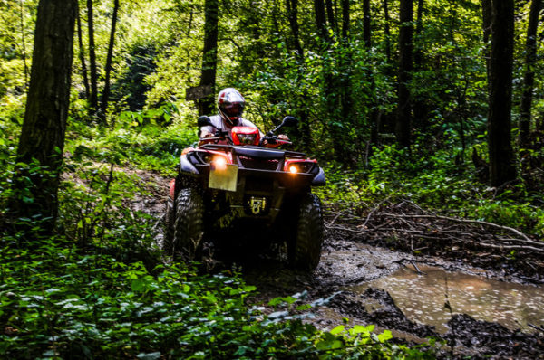 person riding an ATV in the woods