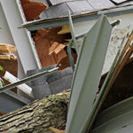 property damage tree hits roof