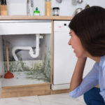 where to look for mold under the sink