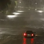 Hurricane Eta Floods Fort Lauderdale & Trashes Tampa