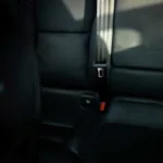 Do You Have To Wear A Seatbelt in The Back Seat in Florida?