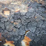 Road Debris in Florida: Who Is Responsible and Pays for Damage?