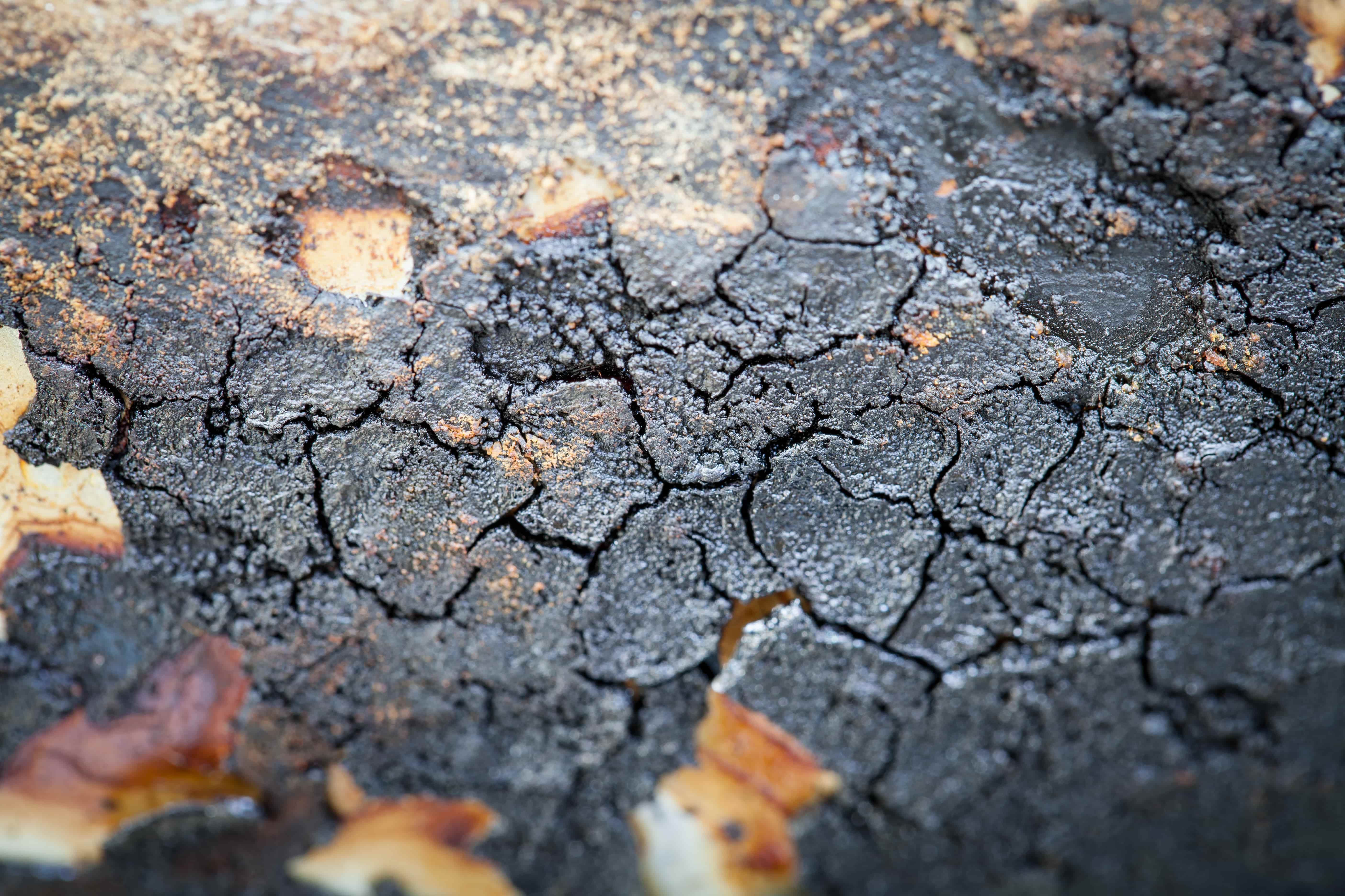road-debris